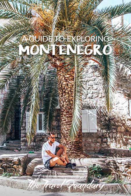 Unravelled A Guide To Exploring Montenegro2 Bevan of The Travel Quandary sits under a large palm tree in Budva, Montenegro