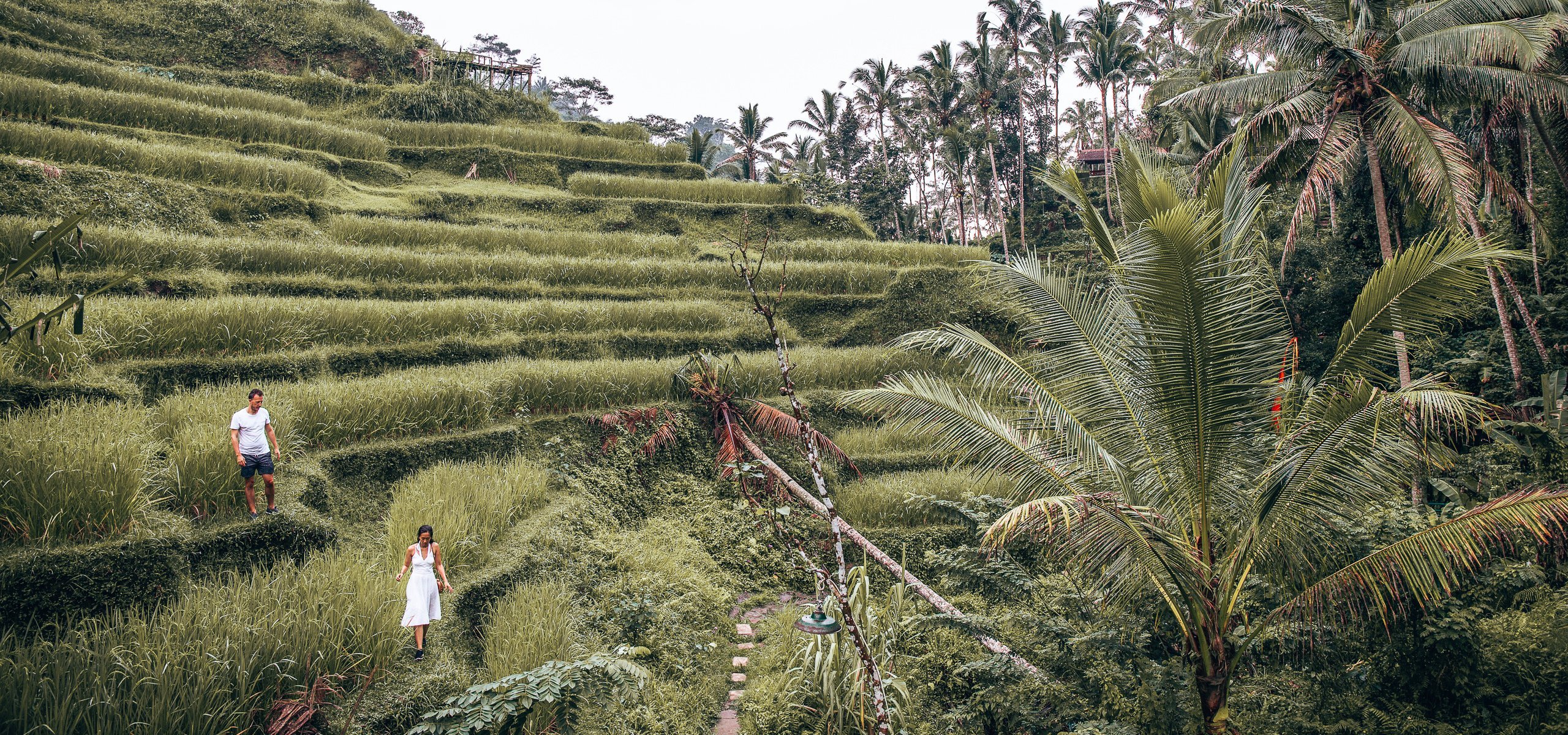 A man and woman dressed in white walk along the rice fields of Tegallalang Rice Terrace in Ubud, Bali
