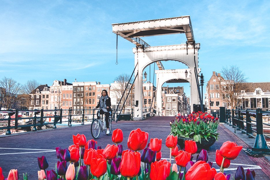 A Non Touristy Weekend Guide To Amsterdam 16 L Riding next to tulips across Magere Brug, Amsterdam