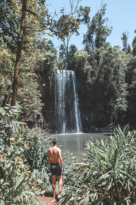Looking out to Millaa Millaa Falls in tropical North Queensland