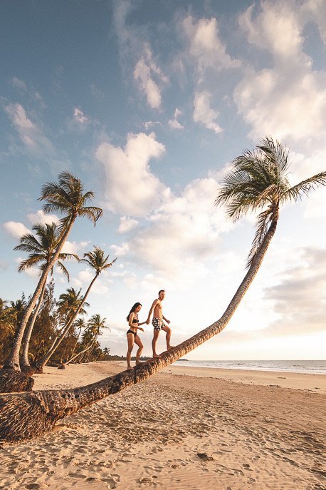 A couple walk along a bendy palm tree on Mission Beach at sunrise, Queensland