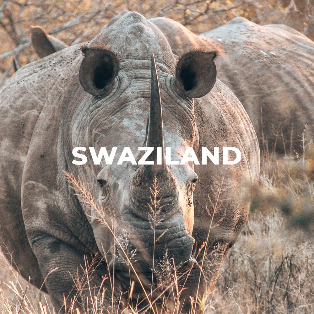 Swaziland Travel Guide