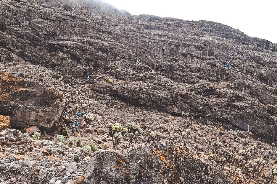 Porters and hikers scramble up the Barranco Wall along the Machame Route