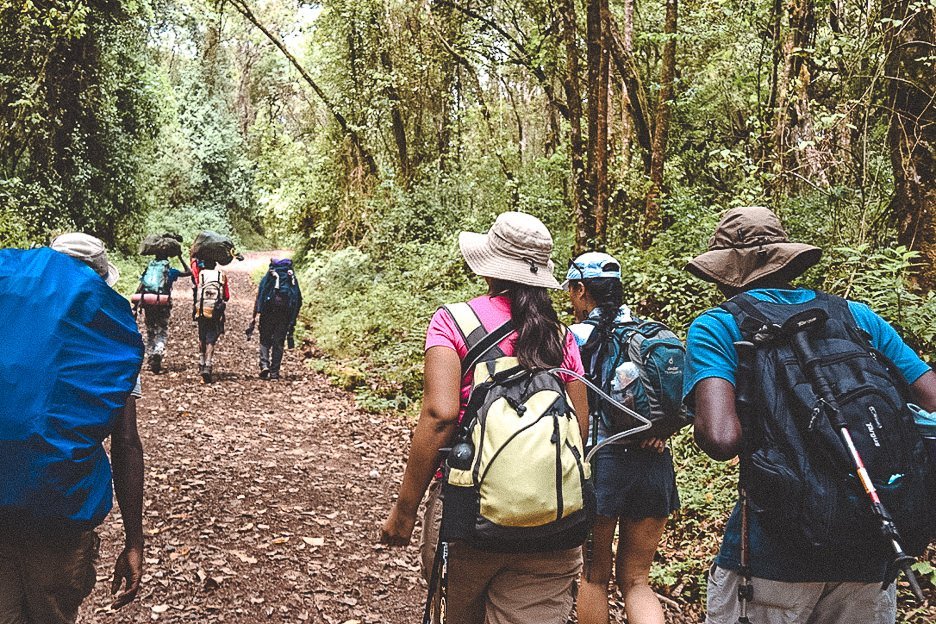 Porters and hikers walk through the rainforest of day 1 on the Machame Route