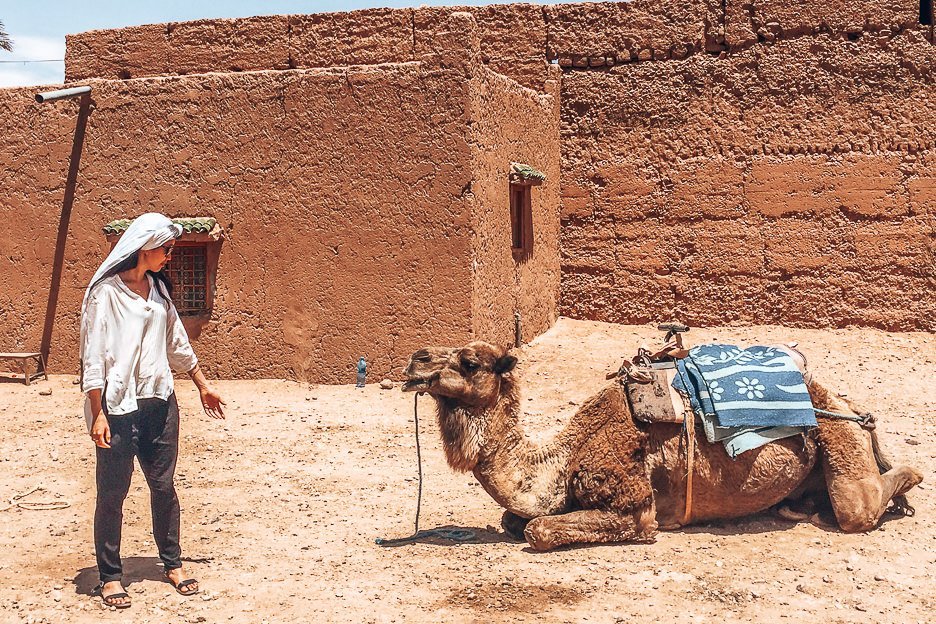 Morocco Travel Photography 35 Photos To Inspire You To Visit 2 L A woman stands in front of a sitting camel, Morocco