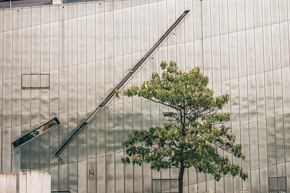 The Alternative Berlin City Guide 19 L Tree outside the Jewish Museum in Berlin
