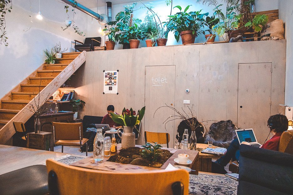 The Best Specialty Coffee In Amsterdam 10 Cafes You Should Visit 16 L The back room in White Label Coffee with couches and potted green plants