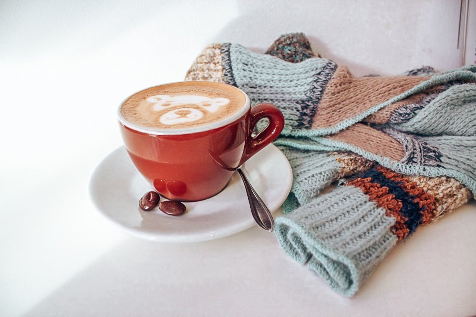 The Best Specialty Coffee In Amsterdam 10 Cafes You Should Visit 3 L Coffee art bear in a latte at Trakteren, Amsterdam