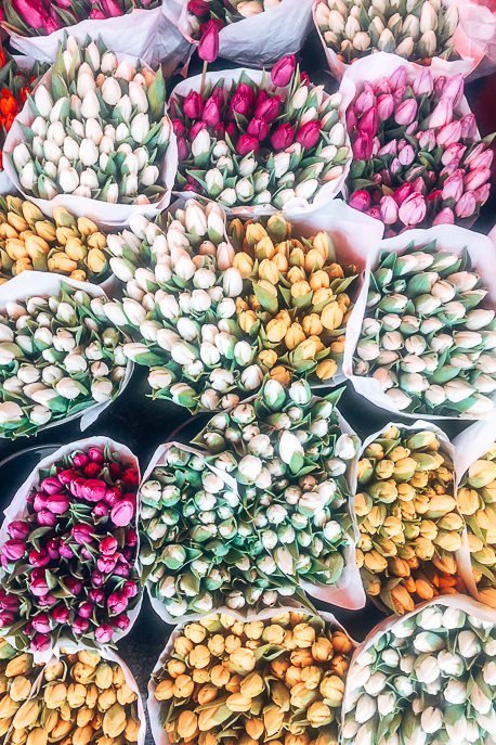 Bunches of tulips at Columbia Road Flower Market, London Market Guide