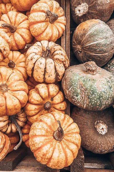 Fresh squash and pumpkin at Brockley Market, London Market Guide