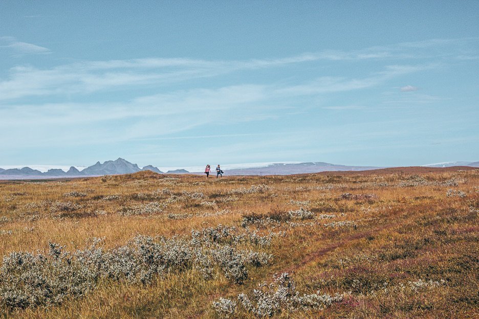 Through My Lens A Summer Adventure Through Iceland 19 L Campers wander through grassy plains, Iceland