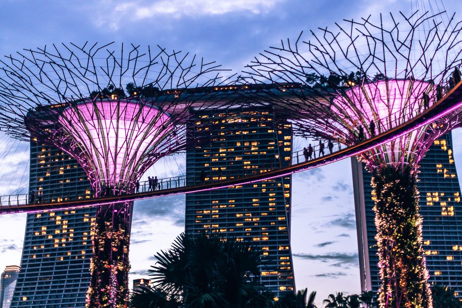 Travel tips for Singapore | Watch the Rhapsody light show at Gardens By The Bay