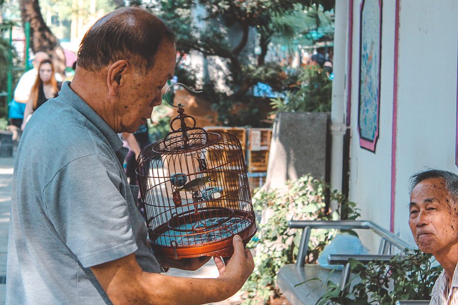 Two elderly gentlemen at the Bird Market, Hong Kong