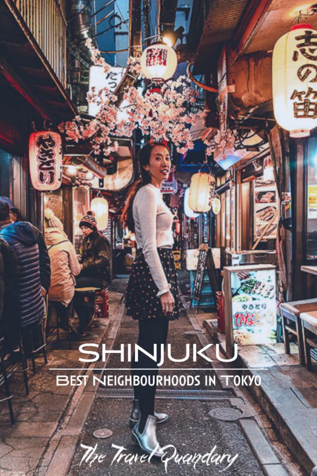 Shinjuku Pin 1 Pin Photo: Wandering the alleys of Omoide Yokocho - Shinjuku what to do