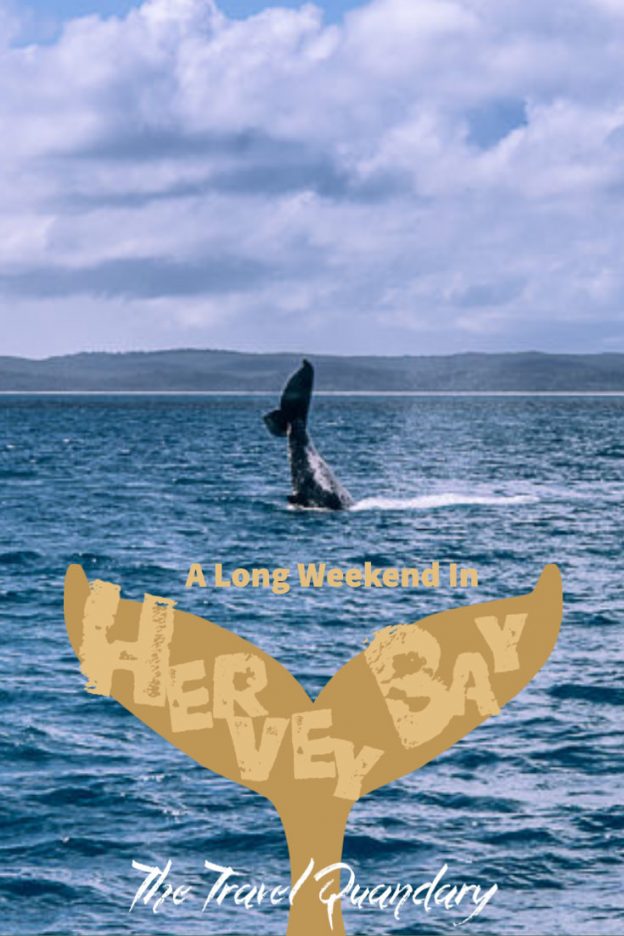 How To Spend A Long Weekend In Hervey Bay Pinterest 2 Pin Photo | Whale watching hervey bay
