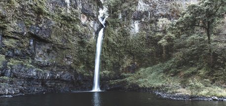 Nandroya Falls - Wooroonoran National Park