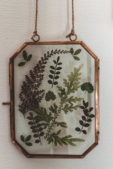 Palmer Gunn 4 P Pressed leaves in glass panes - Palmer & Gunn