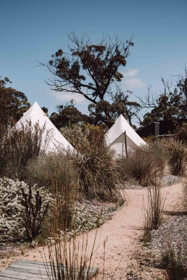 Bell tents at Bay of Fires Bush Retreats include all modern creature comforts