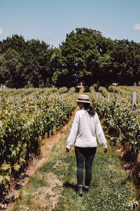 Walking through vineyards in the Tamar Valley