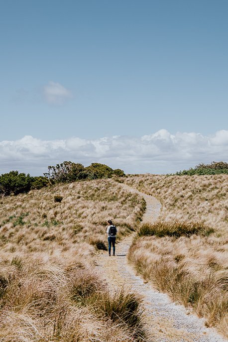 Walking the trail at the top of the Nut looking out for moonbirds | Stanley Tasmania